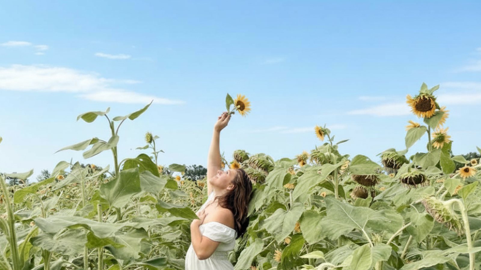 Our founder reaching up to a sunflower, arm raised in worship